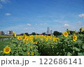 ひまわり 122686141