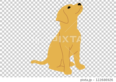 狗狗插畫簡單色彩 狗狗插畫簡單色彩 122686926