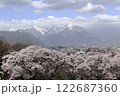 青空と雲と残雪の北アルプスと大町市の街並と満開の桜 122687360