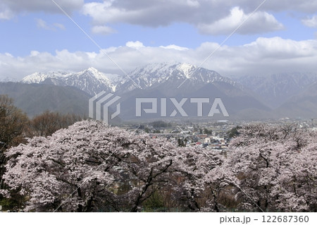 青空と雲と残雪の北アルプスと大町市の街並と満開の桜 122687360