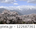 残雪の北アルプスと満開の桜並木 122687361