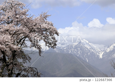 桜のある風景 122687366