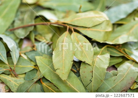 Image of bay leaves 122687571