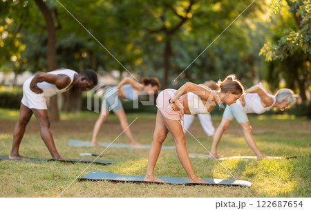 People of different ages and nationalities practice various yoga poses in summer garden People of different ages and nationalities practice various yoga poses in summer garden 122687654