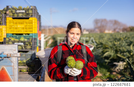 Woman harvesting ripe artichoke buds in basket Woman harvesting ripe artichoke buds in basket 122687681