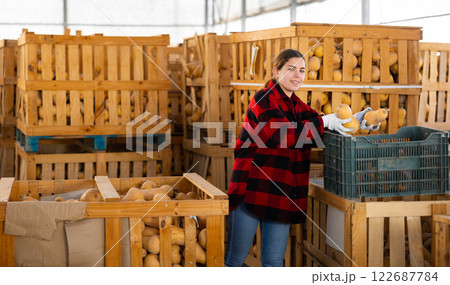 Woman farmer sorting fresh pumpkins Woman farmer sorting fresh pumpkins 122687784