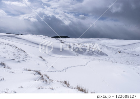 鳥取砂丘の雪景色  122688127