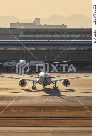 羽田空港に着陸した飛行機 羽田空港に着陸した飛行機 122688222