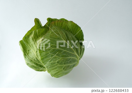 やわらかくて優しい雰囲気のキャベツのイメージ - 3:2 122688433