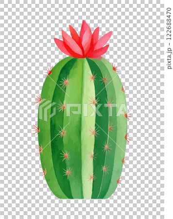水彩仙人掌插畫AI生成 122688470