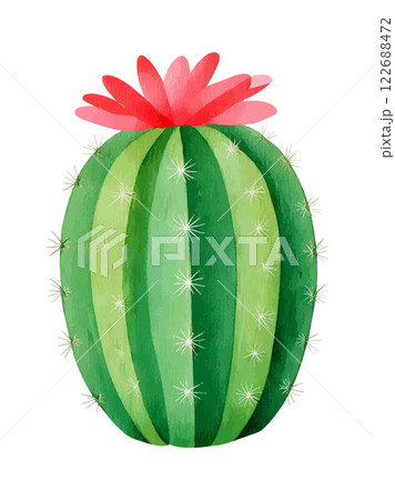 水彩で描いたサボテンのイラスト　生成AI 122688472