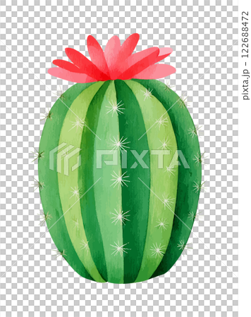 水彩で描いたサボテンのイラスト　生成AI 122688472