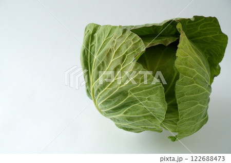 やわらかくて優しい雰囲気のキャベツのイメージ - 3:2 122688473