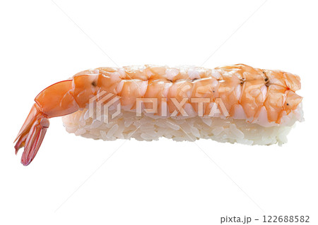 piece of nigiri sushi floating isolated background 122688582