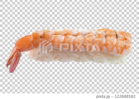 piece of nigiri sushi floating isolated background 122688582