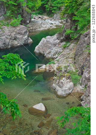 新緑に映える渓流（表匹見峡：益田市） 122688843