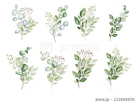 Hand-drawn watercolor illustration of eight elegant eucalyptus branches with lush, aromatic leaves. Perfect for wedding invitations, botanical prints, minimalist home decor, romantic greeting cards. 122688850