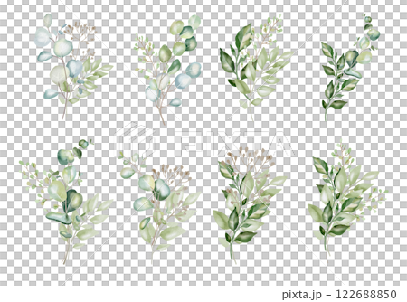 Hand-drawn watercolor illustration of eight elegant eucalyptus branches with lush, aromatic leaves. Perfect for wedding invitations, botanical prints, minimalist home decor, romantic greeting cards. 122688850