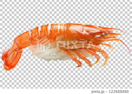piece of crab nigiri sushi floating isolated background 122688880