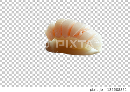 piece of crab nigiri sushi floating isolated background 122688882