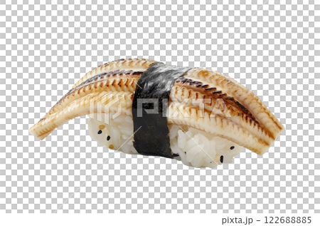 piece of eel nigiri sushi floating isolated background 122688885