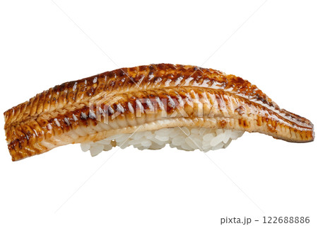 piece of eel nigiri sushi floating isolated background piece of eel nigiri sushi floating isolated background 122688886