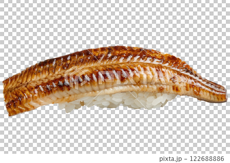 piece of eel nigiri sushi floating isolated background 122688886