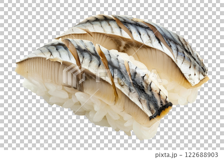 piece of mackerel nigiri sushi floating isolated background 122688903
