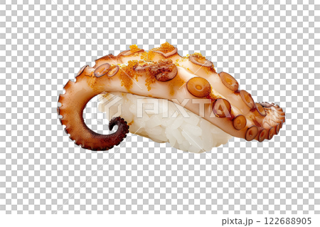 piece of octopus nigiri sushi floating isolated background 122688905