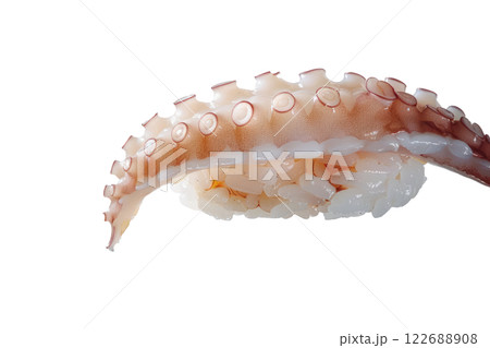 piece of octopus nigiri sushi floating isolated background 122688908