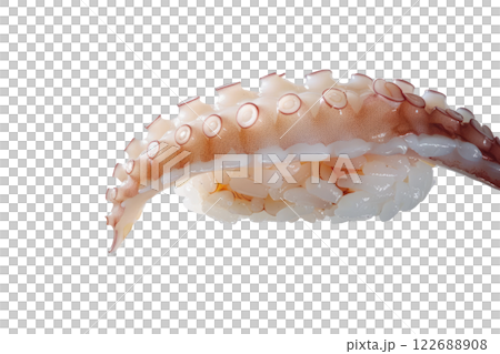 piece of octopus nigiri sushi floating isolated background 122688908