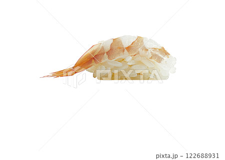 piece of nigiri sushi floating isolated background 122688931