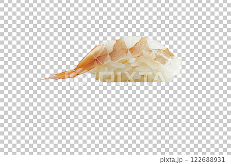 piece of nigiri sushi floating isolated background 122688931