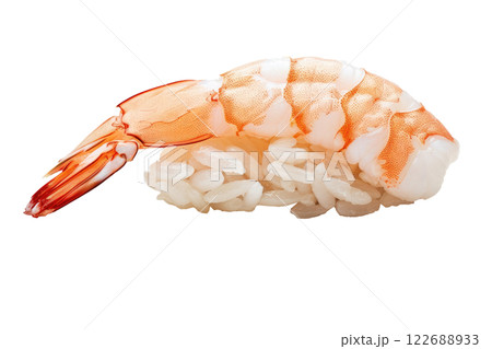 piece of nigiri sushi floating isolated background piece of nigiri sushi floating isolated background 122688933