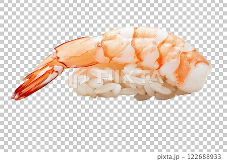 piece of nigiri sushi floating isolated background piece of nigiri sushi floating isolated background 122688933