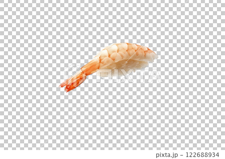 piece of nigiri sushi floating isolated background 122688934