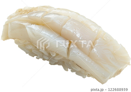 piece of nigiri sushi floating isolated background 122688939