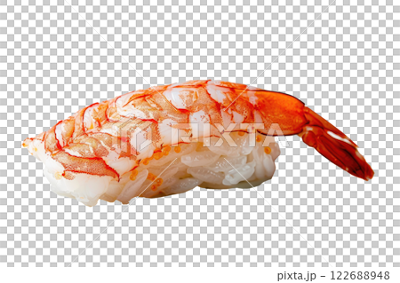 piece of nigiri sushi floating isolated background 122688948