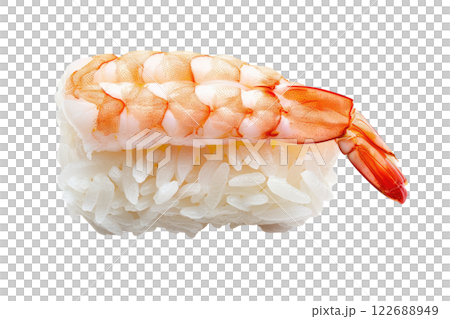 piece of nigiri sushi floating isolated background piece of nigiri sushi floating isolated background 122688949