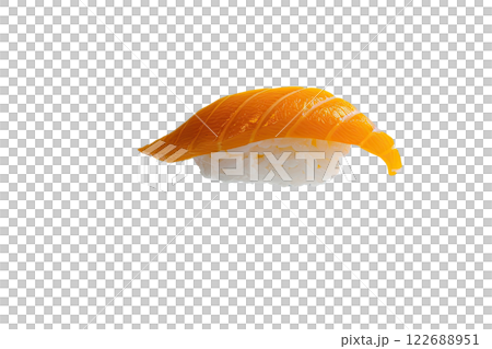 piece of nigiri sushi floating isolated background 122688951