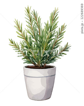 鉢に植えられたハーブの水彩風イラスト 生成AI 鉢に植えられたハーブの水彩風イラスト 生成AI 122689369