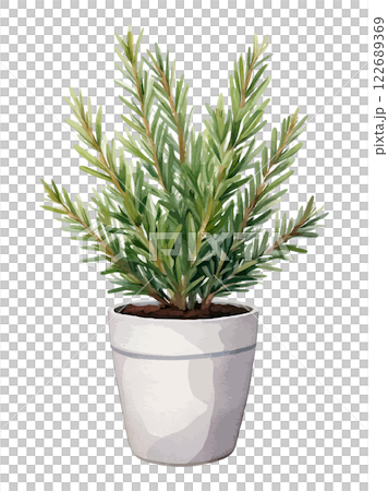 鉢に植えられたハーブの水彩風イラスト 生成AI 鉢に植えられたハーブの水彩風イラスト 生成AI 122689369