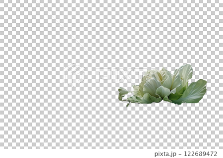 Ripe slice of Mixed vegetables floating isolated background Ripe slice of Mixed vegetables floating isolated background 122689472