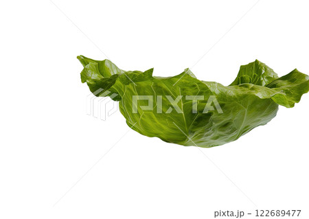 Ripe slice of Mixed vegetables floating isolated background 122689477