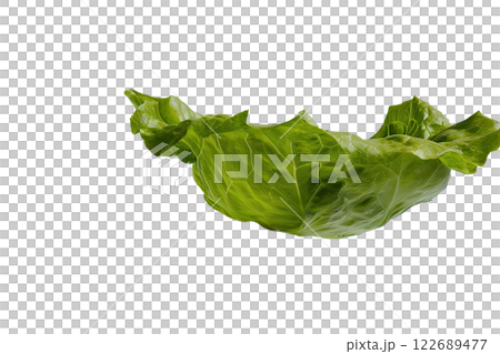 Ripe slice of Mixed vegetables floating isolated background 122689477