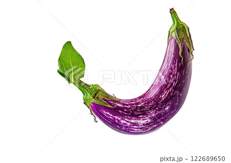 Ripe slice of Mixed vegetables floating isolated background 122689650
