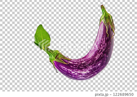 Ripe slice of Mixed vegetables floating isolated background 122689650