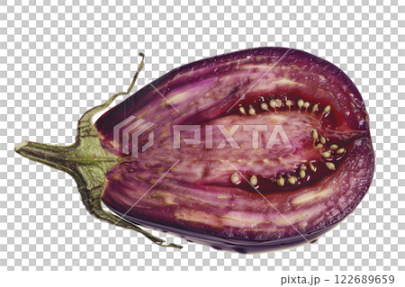 Ripe slice of Mixed vegetables floating isolated background 122689659