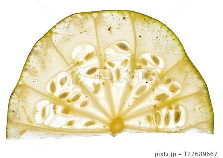 Ripe slice of Mixed vegetables floating isolated background Ripe slice of Mixed vegetables floating isolated background 122689667