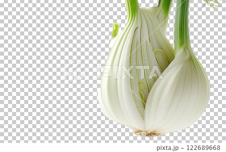 Ripe slice of Mixed vegetables floating isolated background 122689668
